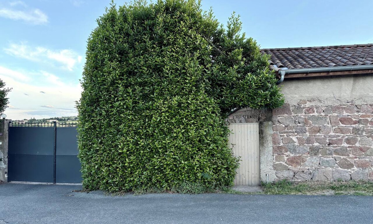 Saint-Etienne-des-Oullieres House | A cozy little cottage in a quiet setting in the heart of the vineyards