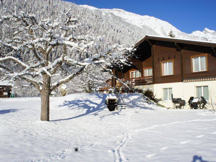 Reckingen Apartment | Apartment ∙ 1 bedroom ∙ 2 guests