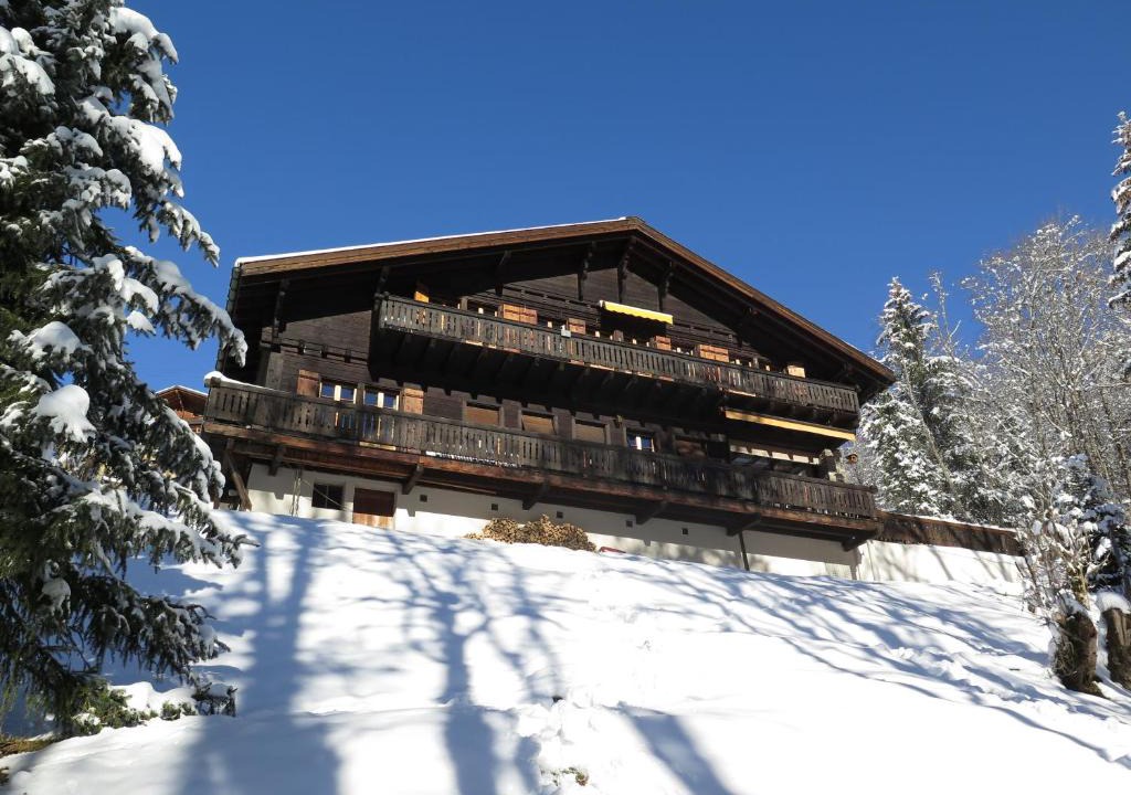 Ormont-Dessus Apartment | Koluma Mansi