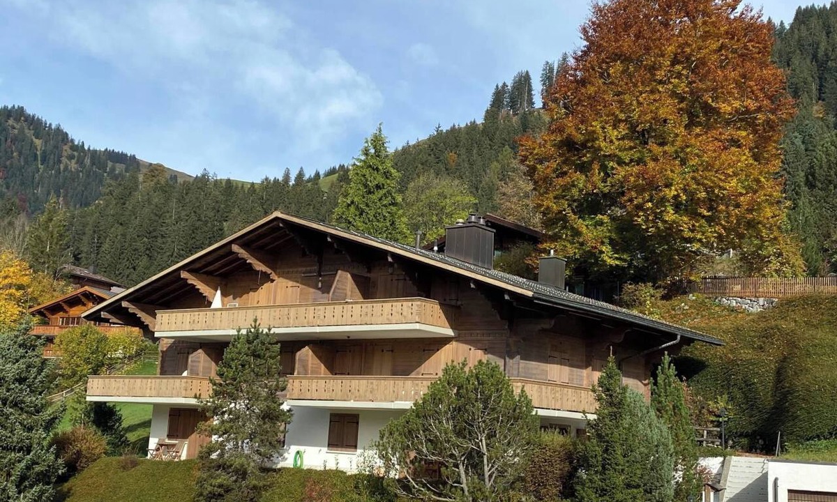 Saanen Apartment | Malgré-tout Appartement/Fewo, Dusche oder Bad, WC, 1 Schlafraum 2-Bettwohnung by Interhome