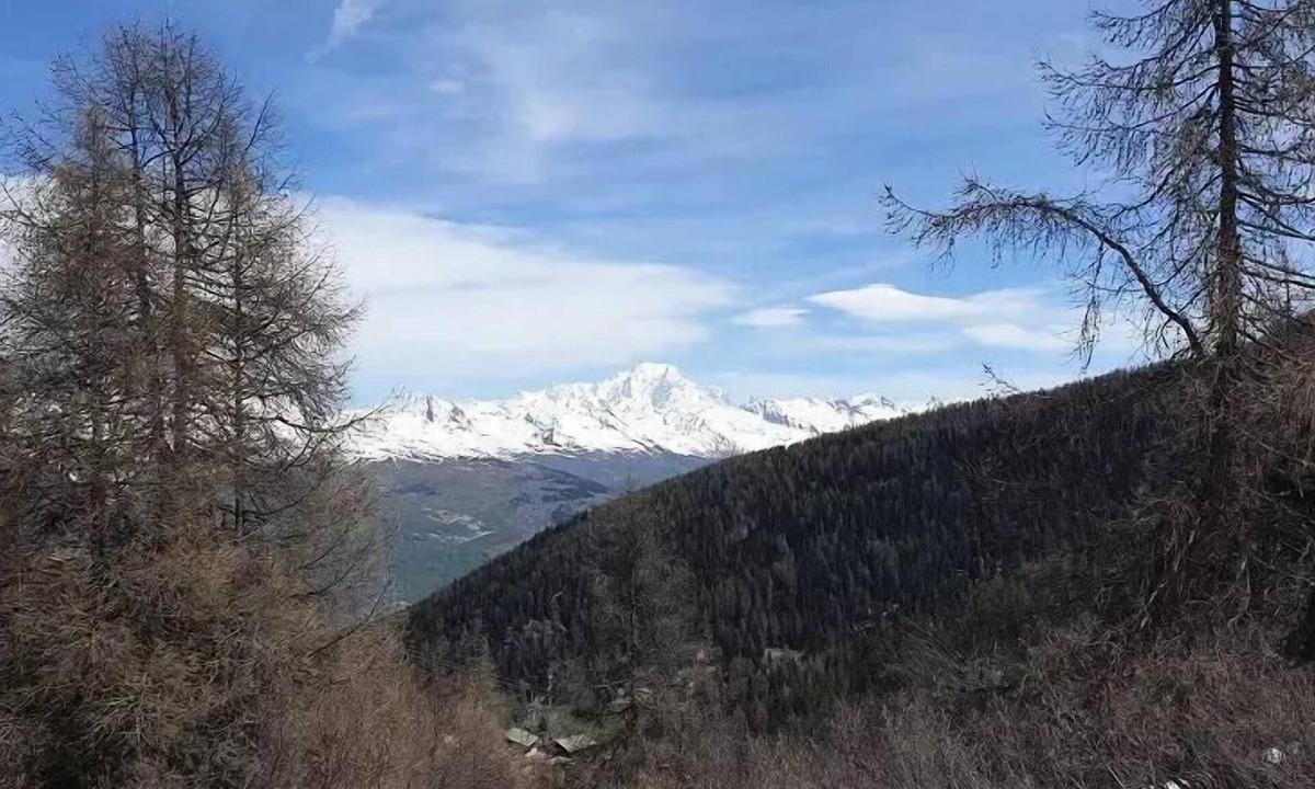 Plagne 1800 Apartment | Résidence Plagne Lauze - maeva Home - Comfort 1 bedroom apartment (5 people)