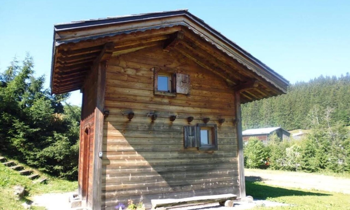 Demi-Quartier Ski Chalet | Small Country Cottage D