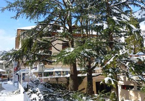 50m from resort center, 1st floor, 25m², Brides Les Bains