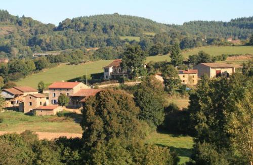 Saint-Romain-d'Urfe House | Écogîte confortable proche St-Etienne et Lyon - FR-1-496-190