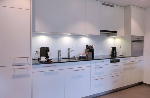 Blausee Apartment | Beautiful apartment for 4 guests with WIFI, TV, balcony, pets allowed and panoramic view