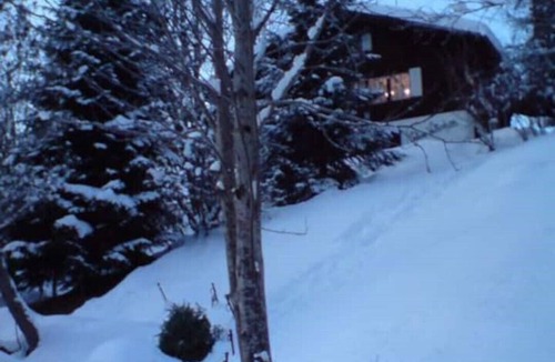 Grindelwald Ski Chalet | Chalet in Grindelwald, Fantastische Lage
