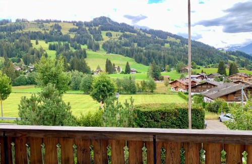 Schoenried Apartment | Chalet Mutzli