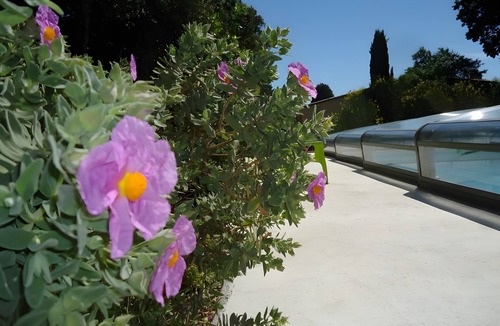 Montbrison-sur-Lez House | Gîte on a Wine Estate Surrounded by Nature, Chouettes