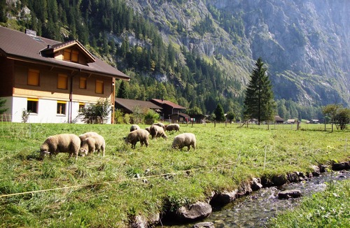 Lauterbrunnen Apartment | Glorious views and Alpine meadows - perfect summer and winter retreat