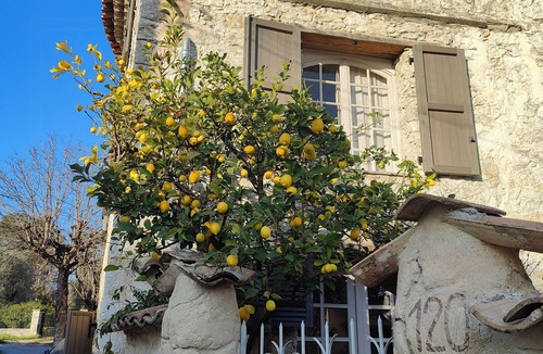 Roquefort-les-Pins Apartment | Historic Provence apartments near Nice and Cannes
