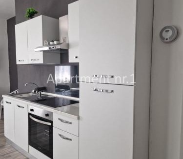 Porlezza Apartment | Il Giardino di Lilly with private parking garden and air conditioning