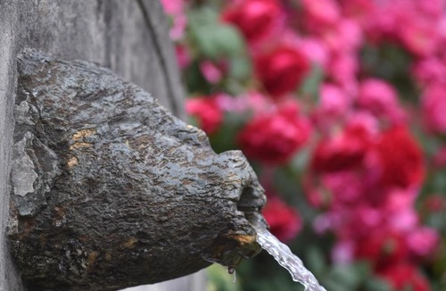 Valtellina House | La Sorgente al Roseto del Drago