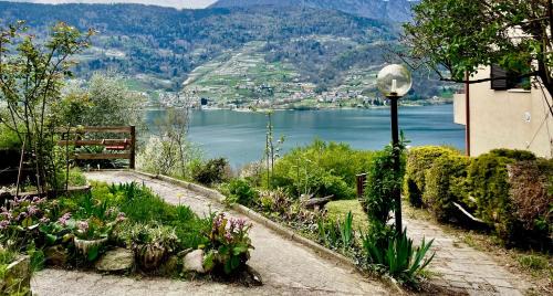 Ischia Apartment | Lake Apartment Ischia Green, Lago di Caldonazzo