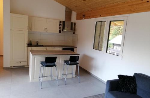 Les Paccots Apartment | Le Petit Paradis du chalet Perce-Neige