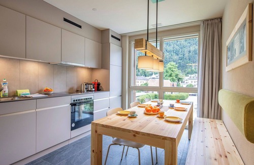 Meiringen Apartment | Lovely apartment for 6 guests with WIFI, TV, terrace and pets allowed