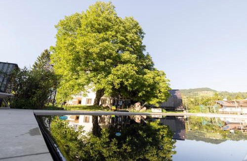 Aldino Hotel | Michlhaus nature and suites - Dolomiten-Worldhertiage, Family & Pool