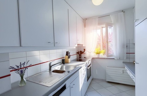 Dietikon District Apartment | Modern Cozy Apartment near Zurich City & Netflix!
