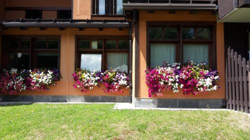 Campo Carlo Magno Apartment | Multiproprietà Rio Falzè