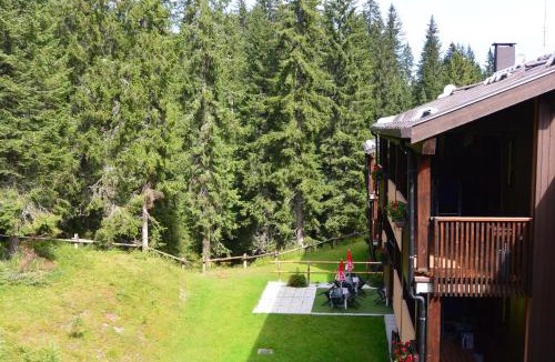 Campo Carlo Magno Apartment | Multiproprietà Rio Falzè