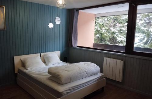 Besse-et-Saint-Anastaise Apartment | Proches des pistes F2 36m2 4-6 pers 2 étoiles