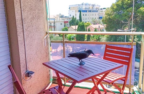 Cros-de-Cagnes Apartment | Rose Garden