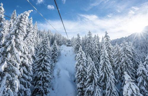 La Rosiere Apartment | Studio rénové 2* pour 4 pers., skis aux pieds, balcon exposé sud-ouest, proche commerces et garderie - FR-1-398-528