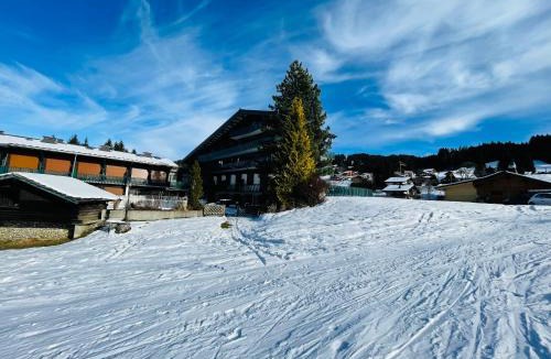 Les Gets Apartment | Studio ski aux pieds vue superbe sur les pistes