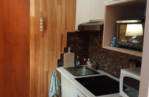 Les Tines Apartment | T2 rez-de-jardin Chamonix avec parking et vue Mont Blanc - FR-1-517-65