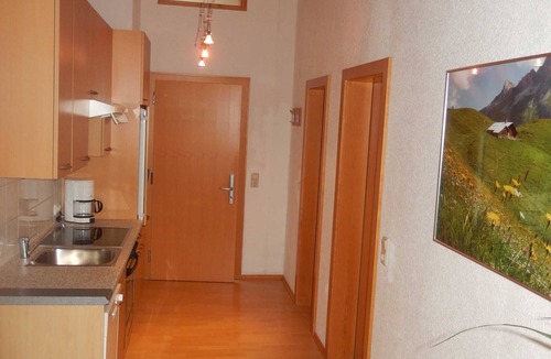 Schoppernau Apartment | Vacation apartment Diedamskopf - n Apartments Hotel *