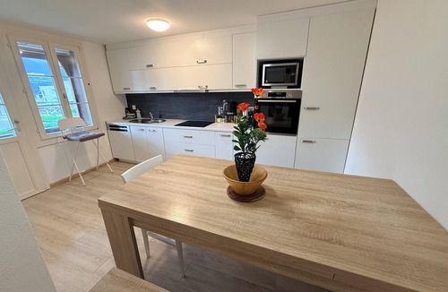 Thun Apartment | Vacation apartment Wintertime Lake Thun&Mountainview