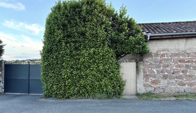 A cozy little cottage in a quiet setting in the heart of the vineyards