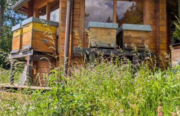 Appartamento LA REGINA un dolce rifugio tra api e natura