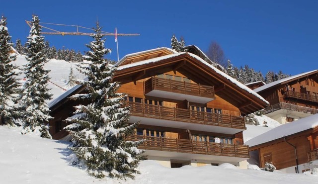 Chalet Hasliblick 3081 4-bedded apartment