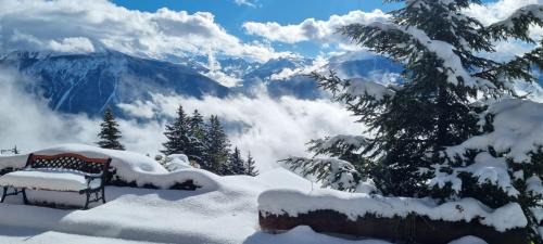 Chalet La Louise avec vue imprenable