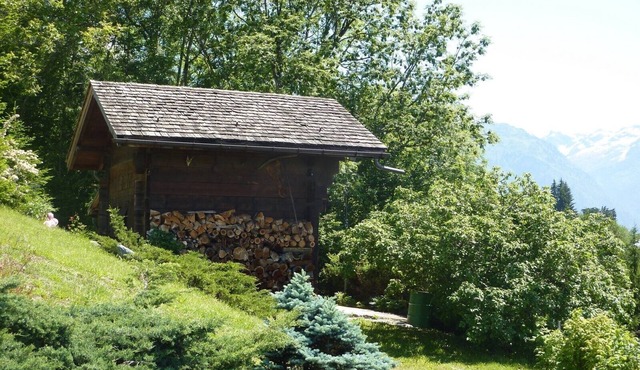 Chalet with exceptional view of Mont Blanc!