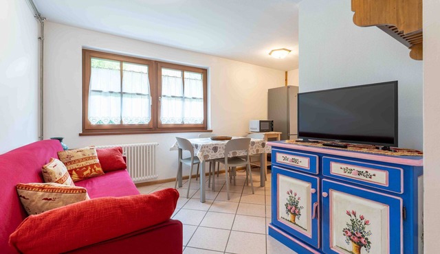 Charming ground floor apartment in the village of Campestrin