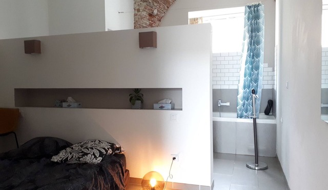 Charming, quiet and functional apartment with a garden. Free parking in front in Perpignan