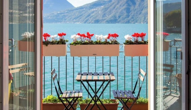 Deluxe window to the lake