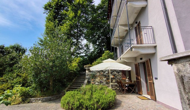 In the shade of a beech tree: An oasis of tranquility just a few minutes from the lake