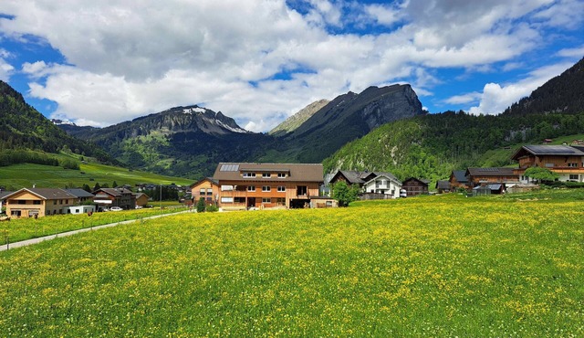 Johannas family-friendly Bregenzerwälderhaus - Entire vacation home