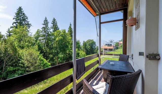 Lake View Apartment Near Interlaken with Balcony