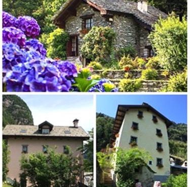 Le Primule in Piedilago