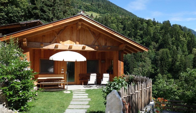 Newly built farm chalet in a quiet location