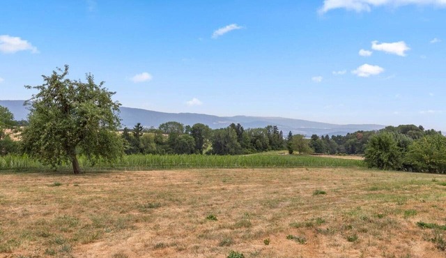 Renovated apartment with air conditioning in a quiet location