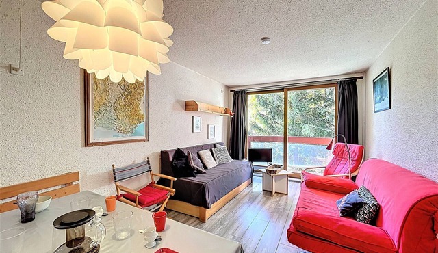 Studio 4/5 pers. Ski-in, Balcony, Pets Allowed