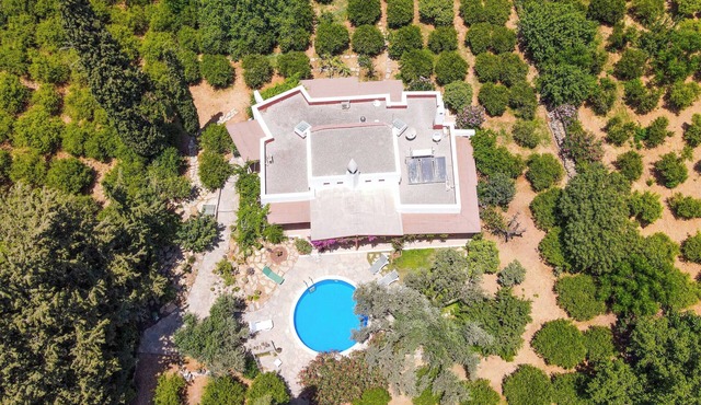 Villa Tranquil - Three Bedroom Villa, Sleeps 5 in Bodrum