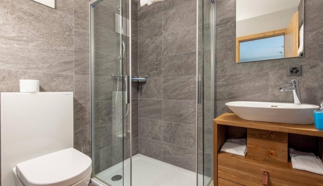 Wifi, 250m from shops, fitness, sauna, hammam, terrace, balcony, tv, ski locker, 35m², Vercorin