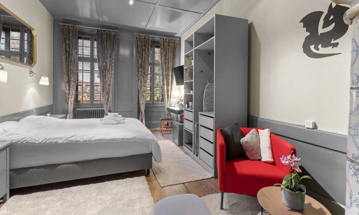 Fribourg Apartment | Cosy room - Fribourg old town