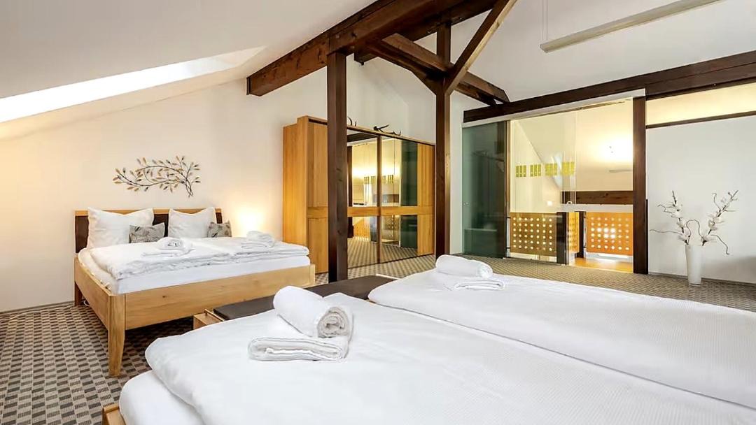Bludenz Apartment | Ferienwohnung Haldennest