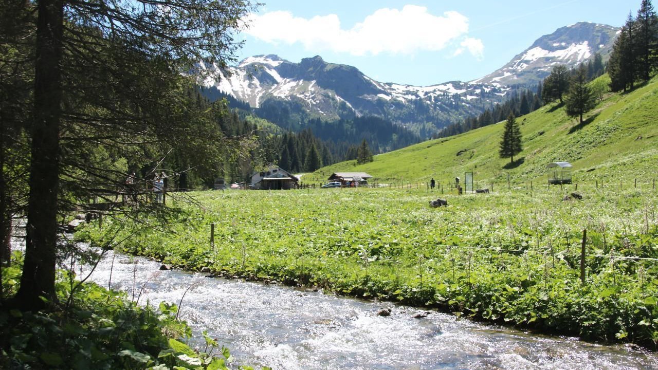 Photo of Others in Morgins